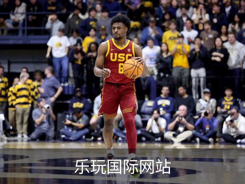 乐玩国际网站简介